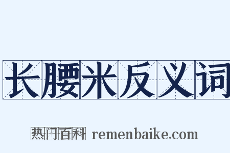 长腰米反义词是什么意思的图片